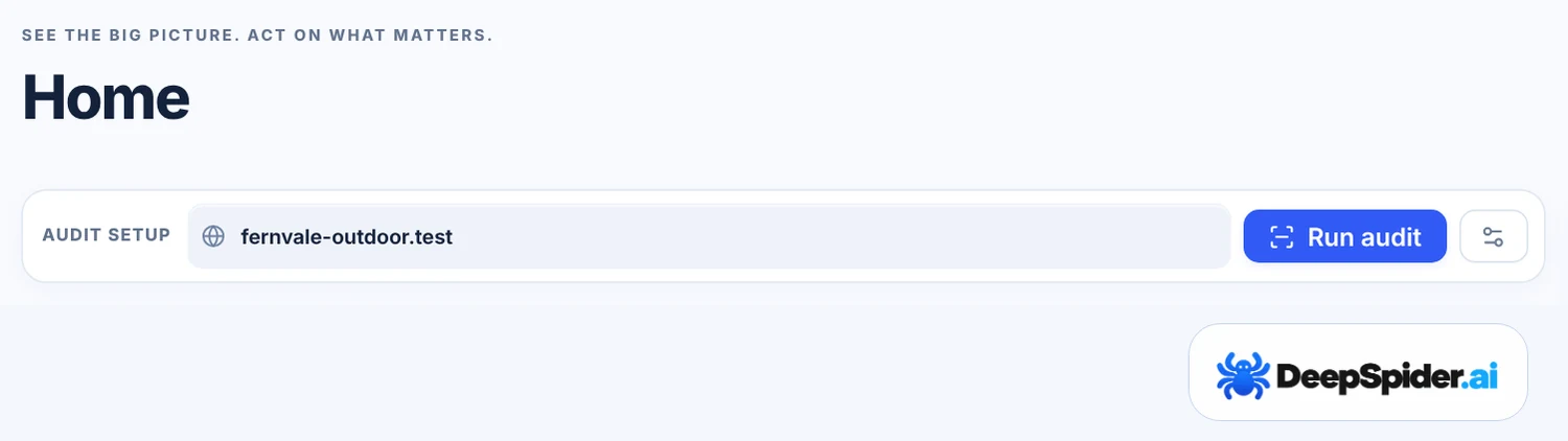 Home page of a new account with the Audit setup box, a website address typed in and the Run audit button