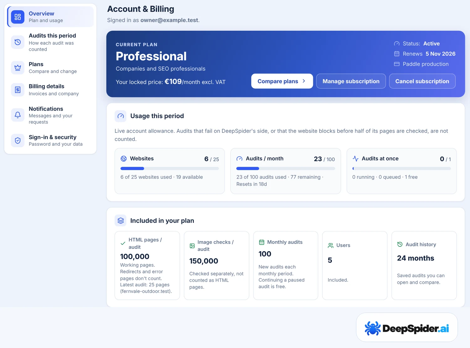 Account & Billing overview: current plan Professional with the locked price, renewal date and buttons, usage this period for websites, monthly audits and audits at once, and what is included in the plan