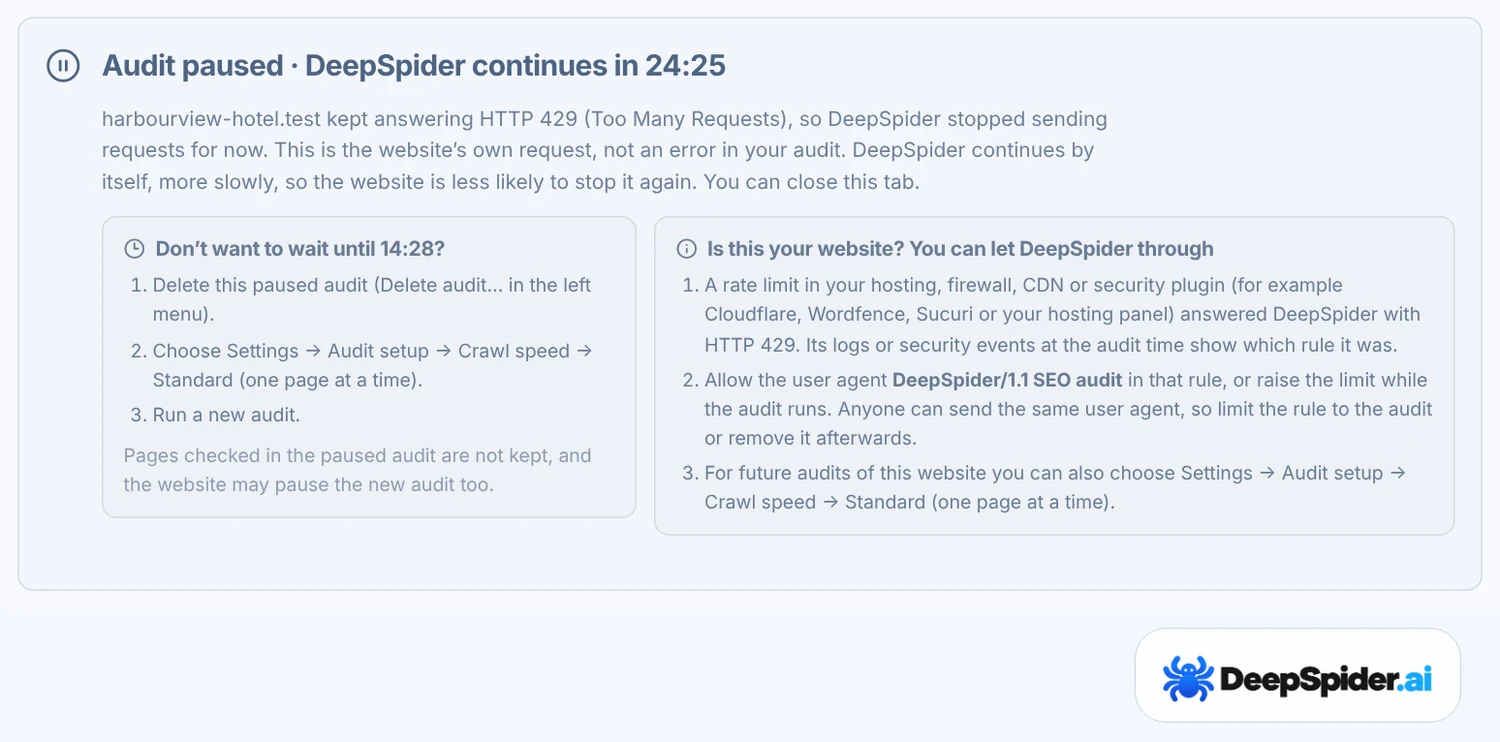 Audit paused · DeepSpider continues in 24:45, with the reason (HTTP 429), a card for skipping the wait and steps for the website owner